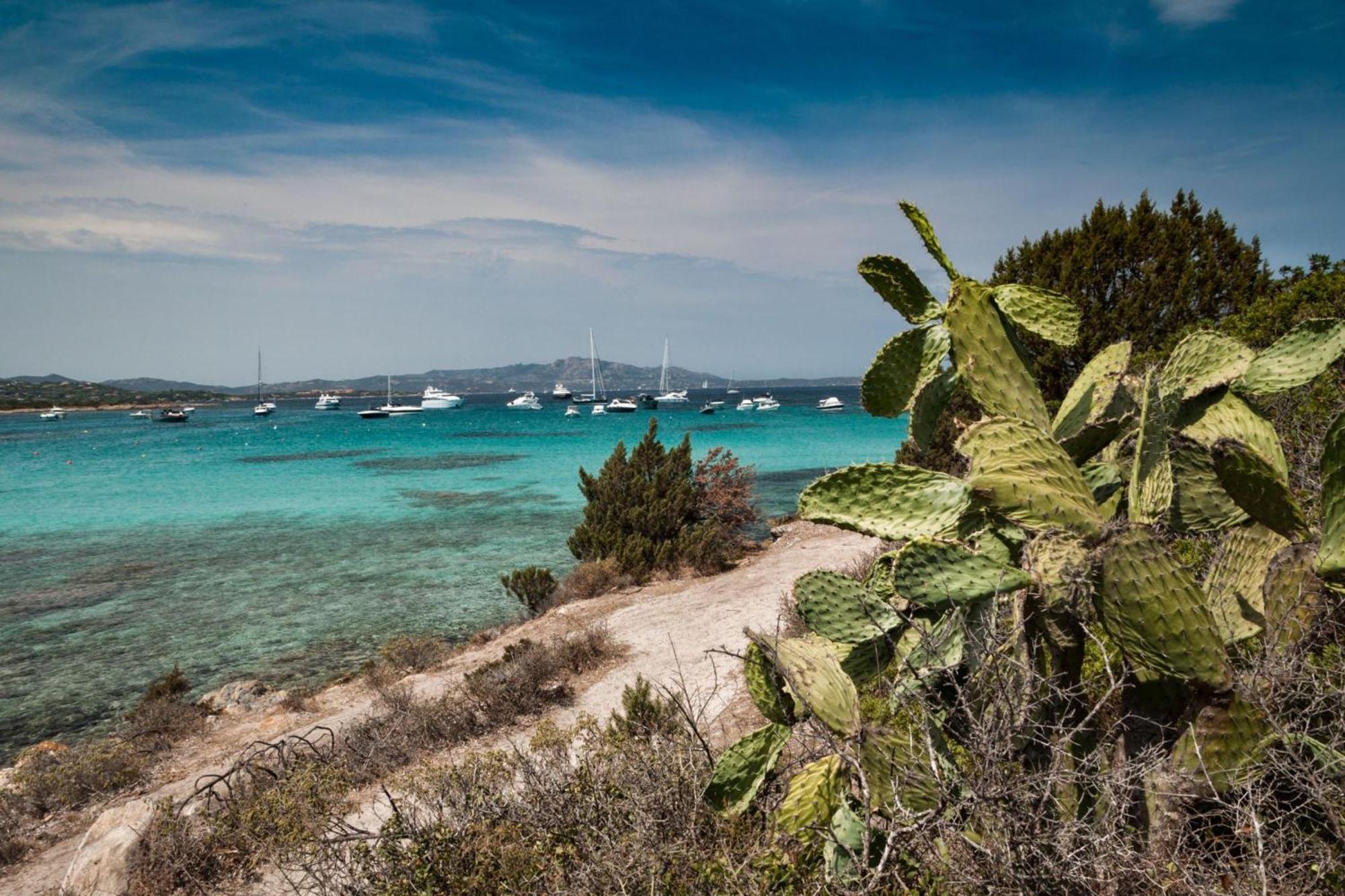 Villetta Franca 100M From The Beach - Happy Rentals Golfo Aranci Exterior foto